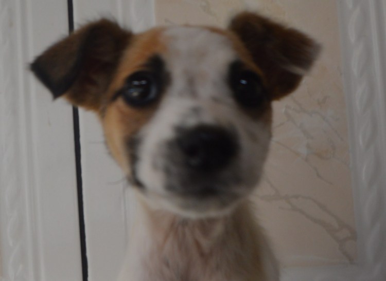 WhatsApp Image 2018-11-01 at 22.21.24