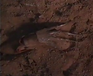 05 - Lembranças do Inferno - Introdução 04